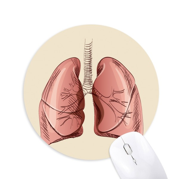 器官肺人类插画圆形游戏办公防滑橡胶鼠标垫礼物