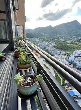 定做阳台户外伸缩晾衣架晒鞋架花架晾衣架一体式晾衣晒鞋架铝合金