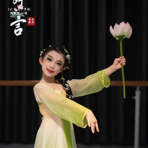 最 美人间六月天舞蹈演出服古典舞胭脂妆荷花舞表演舞蹈道具凳子