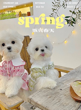PPPIG ins贩卖春天女仆厨娘装 博美马尔济斯约克夏比熊宠物服饰