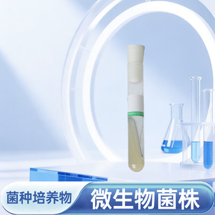 NUCCC 菌盒子 北京棒杆菌Corynebacterium pekinense CGMCC 1.295