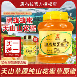 【买1送1】新疆唐布拉黑蜂蜂蜜天山黑蜂山花蜜2kg大瓶绿色食品