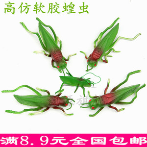 仿真蝗虫模型软胶材质昆虫蚂蚱儿童玩具整蛊早教教具拍摄影视道具