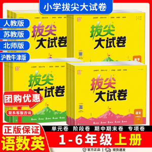 通城学典小学拔尖大试卷