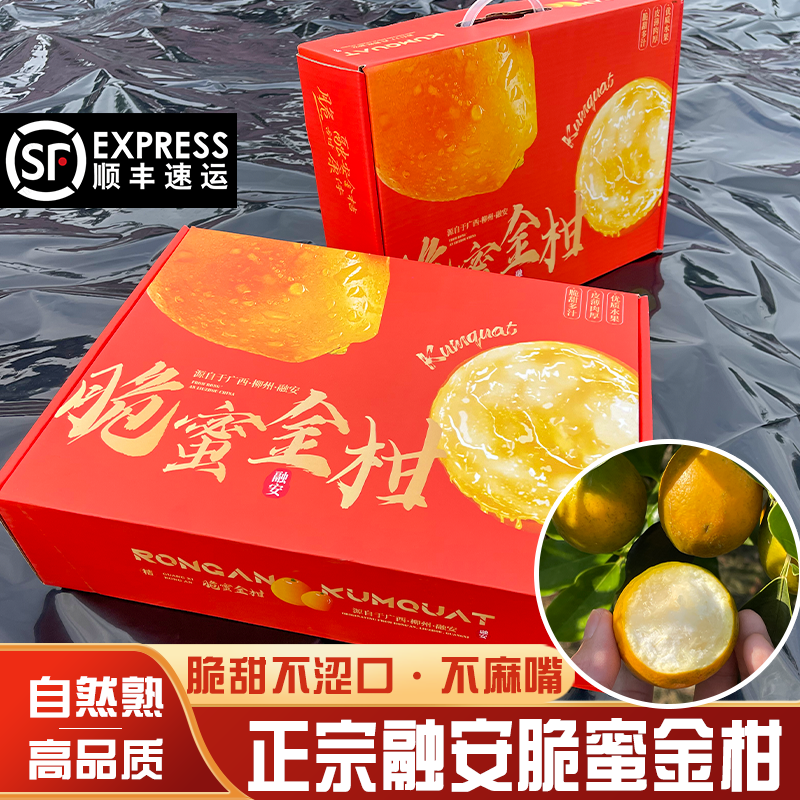 正宗广西柳州融安脆皮蜜金桔金柑无籽特级独立包装礼盒小金桔金柑,水产肉类/新鲜蔬果/熟食,桔子,淘宝优惠券,粉丝福利购,淘宝优惠卷