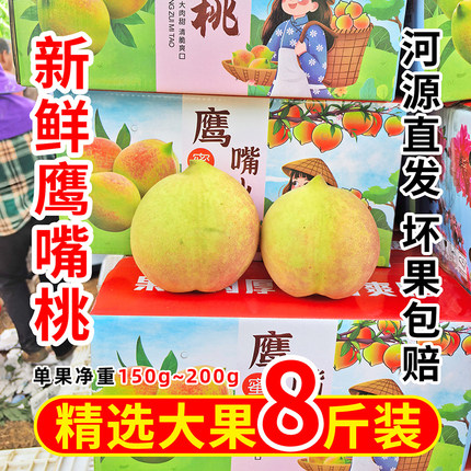 广东连平鹰嘴桃水果脆甜正宗河源新鲜桃子上坪水蜜桃新鲜水果毛桃