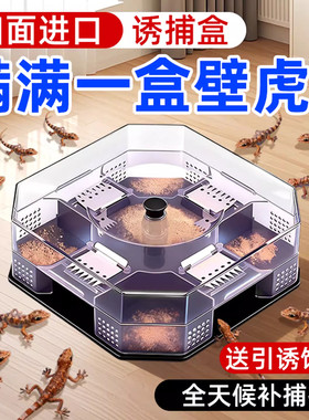壁虎诱捕盒驱赶专用药家用客厅卧室防壁虎专杀药驱虫驱壁虎诱捕器