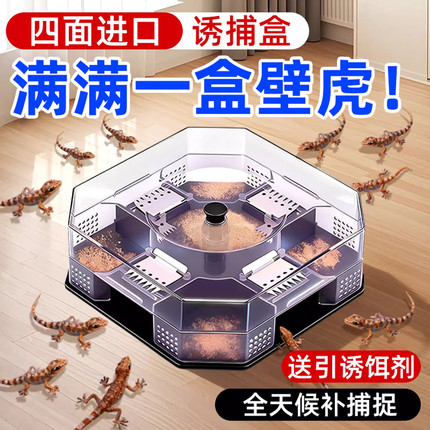 壁虎诱捕盒驱赶专用药家用客厅卧室防壁虎专杀药驱虫驱壁虎诱捕器