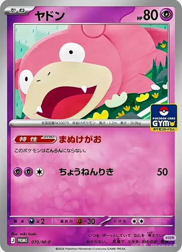 PTCG日版宝可梦道馆包