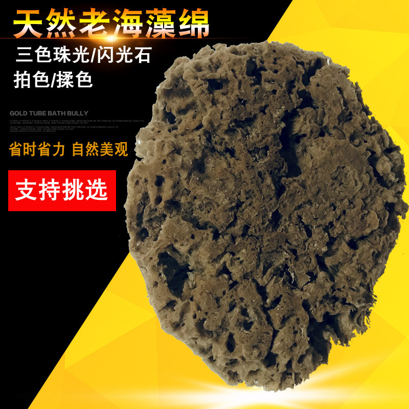 进口优选天然老海藻绵实心海棉幻彩漆艺术漆3D银箔点彩老根海藻绵