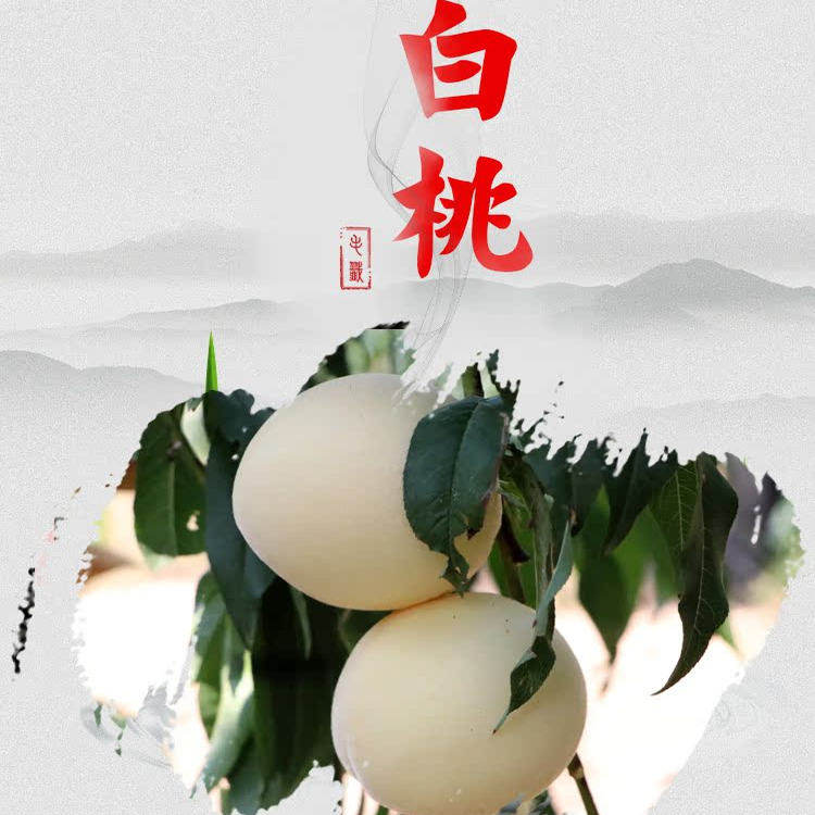 蒙阴蜜桃蒙阴大白桃当季新鲜水果5沂蒙山硬脆甜奶油白毛桃非油桃