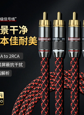 YY-JNM rca音频线二对二双莲花头发烧纯铜音响音箱功放连接信号线