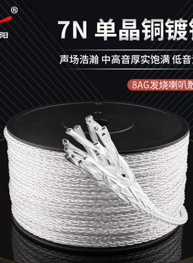 台湾YYAUDIO/杨阳7N单晶铜镀银发烧级主音响线HiFi喇叭线音箱散线
