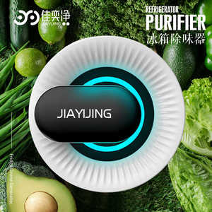 冰箱除味器除臭去味除味神器臭氧杀菌保鲜机冰柜充电空气净化卫士