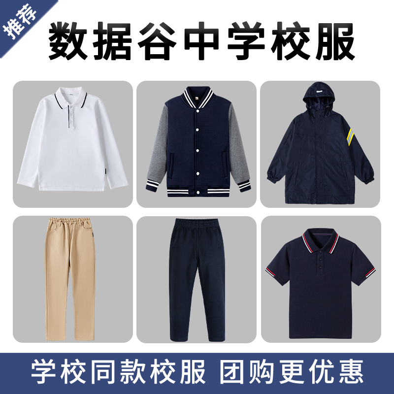 重庆八中数据谷中学校校服夏季T恤短裤运动服棒球服外套冲锋衣