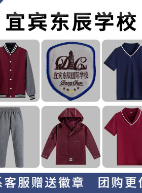 宜宾东辰学校校服枣红深灰白条