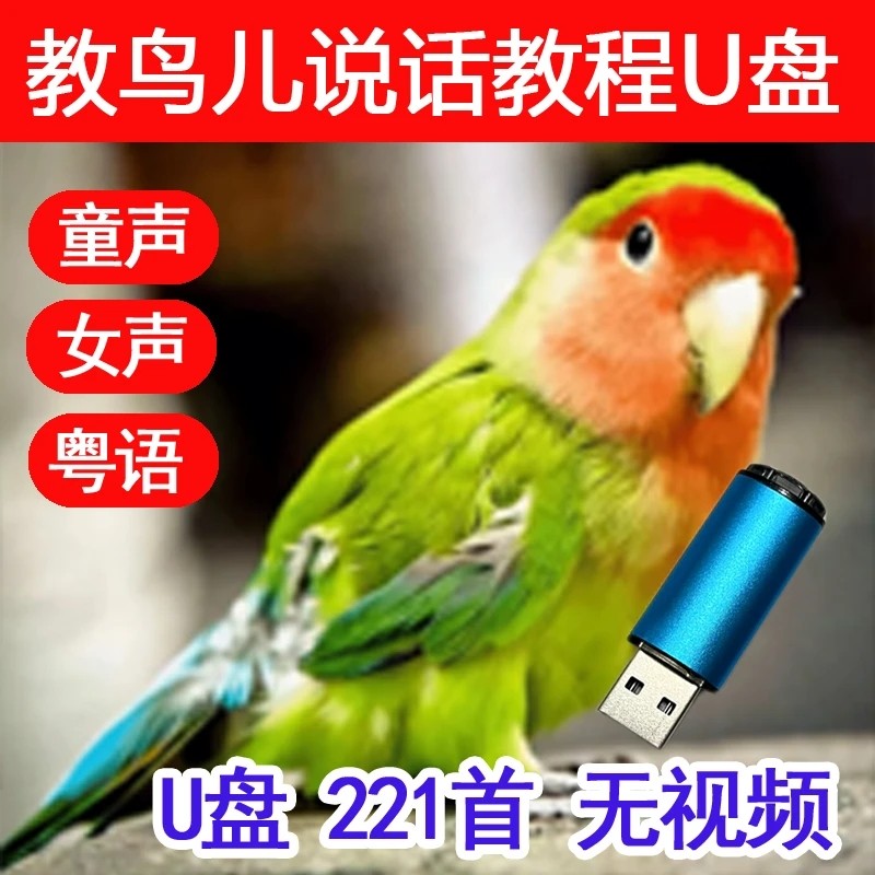 教鸟儿说话教鸟儿说话优盘清晰话语mp3音频收音机音箱随身听专用