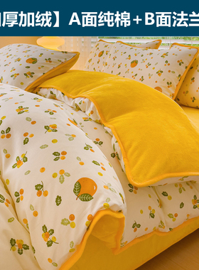 AB面纯棉加绒法兰绒珊瑚绒四件套229x230单面绒被罩1.5/1.8/2/2.3