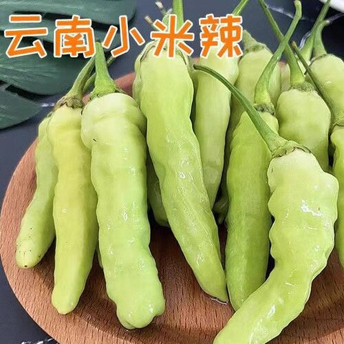 云南特产小米辣椒新鲜白米椒泡椒