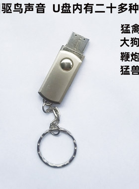 支持定制各种声音优盘