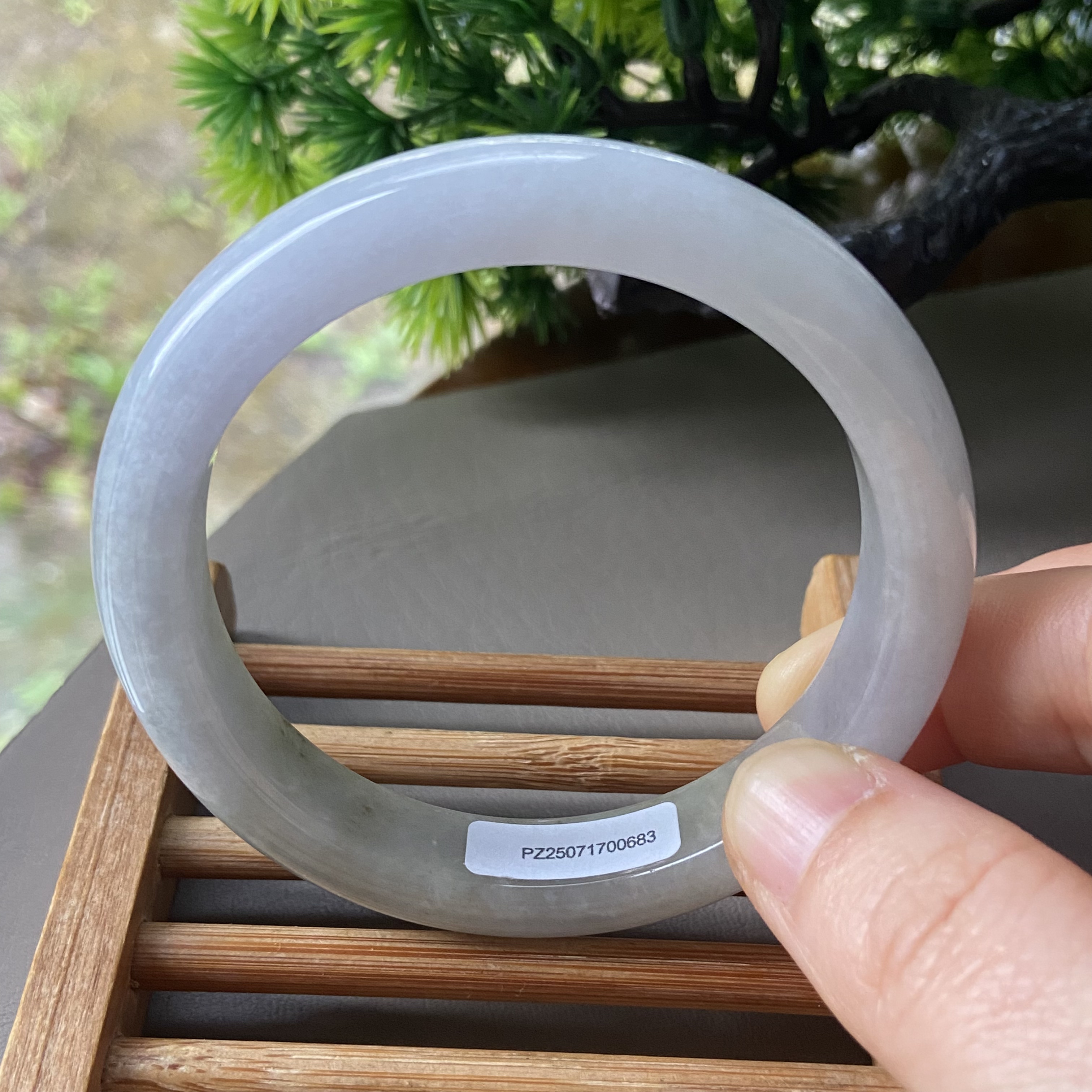 天然缅甸翡翠手镯56冰糯种白月光黄翡57老坑a货玉镯子0683带证书