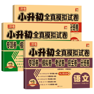 小升初真题卷必刷题人教版六年级下册试卷测试卷全套语文数学英语科学道德与法治初中语数英总复习期末冲刺资料书