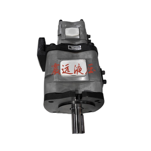 IPH 11双联齿轮泵IPH 3.5 100 46B 24B