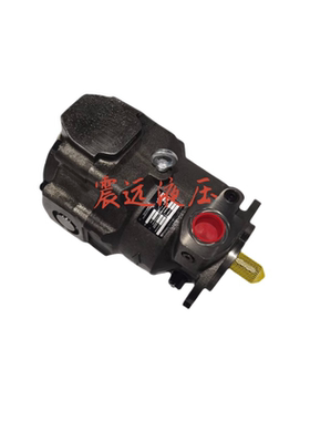 液压柱塞泵 P1PD045PS01SRS5BAM0T00A0000 液压泵油泵