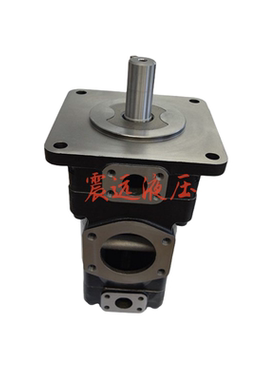 T67CB 031 B10 5R11 A1M1 叶片泵 液压油泵 T67CB-017