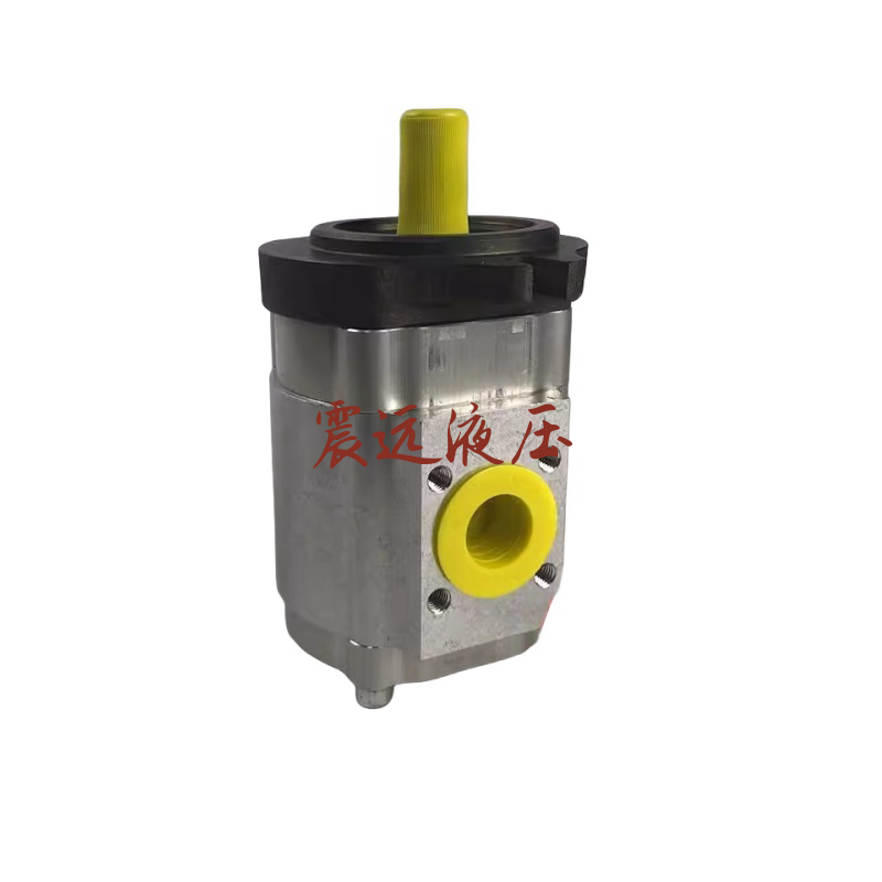 齿轮泵EIPS2-016RA04-1X注塑机伺服油泵EIPS2-025RA04-1X