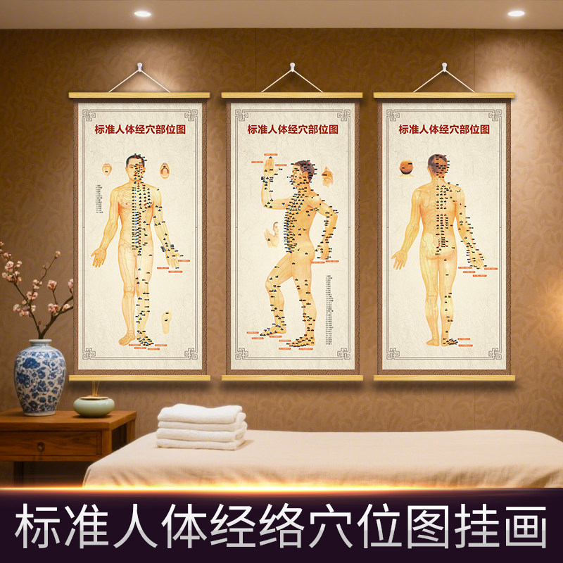 养生馆中医针灸人体经络图十二经现代装饰画