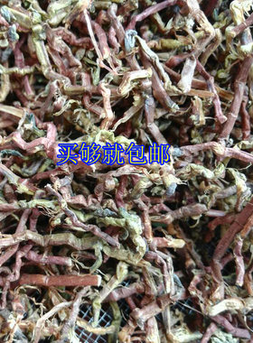山密草云南山蜜草天山福音草