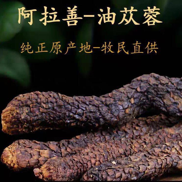 阿拉善油苁蓉中药材正品特级油苁蓉整根切片泡酒滋补料野生肉苁蓉