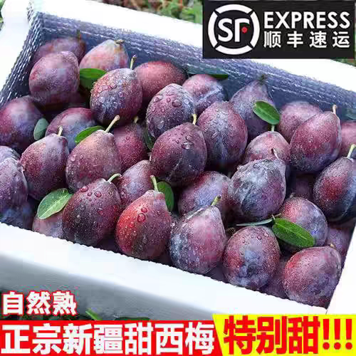 【顺丰包邮】新疆西梅新鲜自然熟
