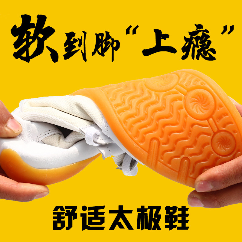 大辫子太极鞋女春夏牛筋底透气帆布鞋功夫鞋武术比赛表演练功鞋男