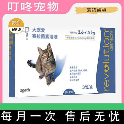 猫咪宠爱套装体内外同驱
