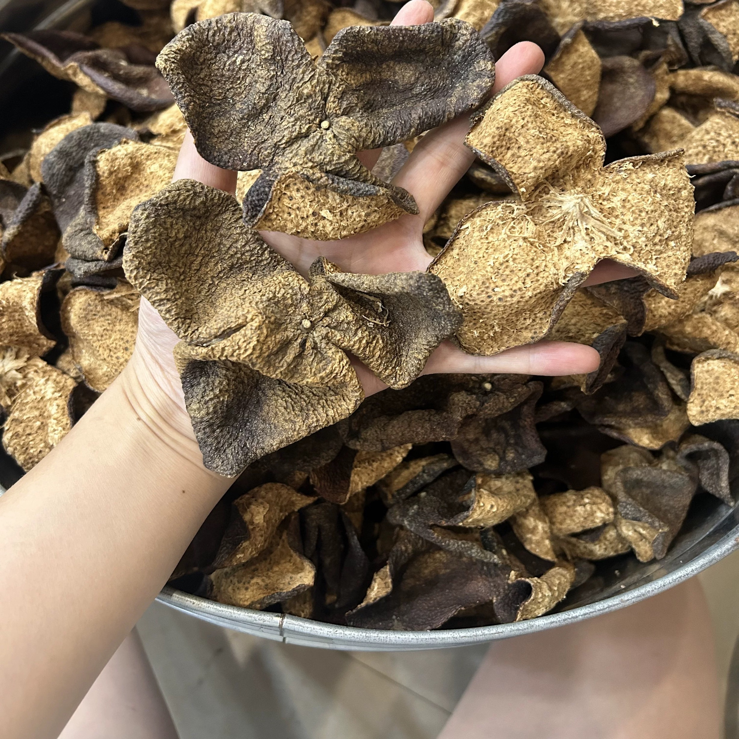 【金丝狗腩皮】2018年新会东甲原枝冬后丑皮 枣甜重糯香 口感醇厚