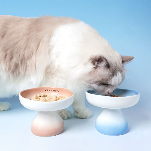 KAMA MUTA 猫碗陶瓷洋茸碗高脚罐头碗宠物狗狗碗猫咪喝水碗