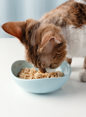 KAMA MUTA 豆荚碗狗碗矮脚猫碗陶瓷防打翻水碗猫宠物粮浅口碗