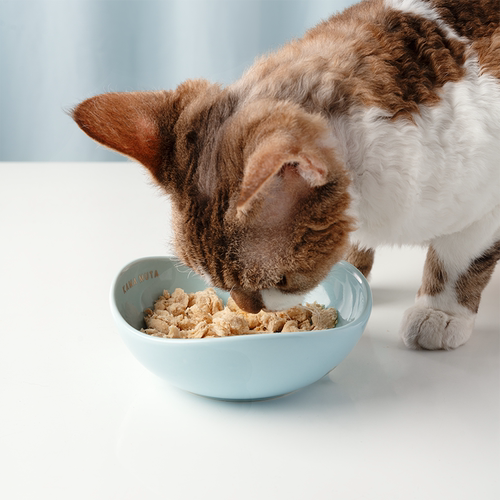 KAMA MUTA 豆荚碗狗碗矮脚猫碗陶瓷防打翻水碗猫宠物粮浅口碗