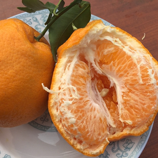 蒲江红心猕猴桃丑柑青见春见耙耙柑 原产地全国招代理一件代发