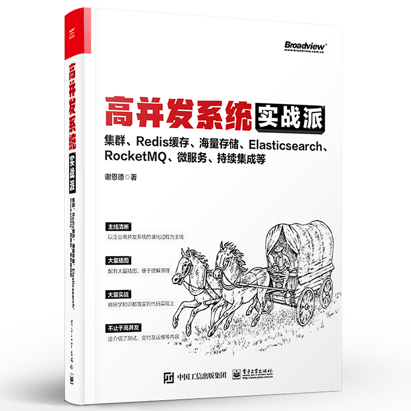 正版现货 高并发系统实战派 集群Redis缓存海量存储Elasticsearch RocketMQ微服务持续集成企业系统框架搭建技术书 电子工业出版社