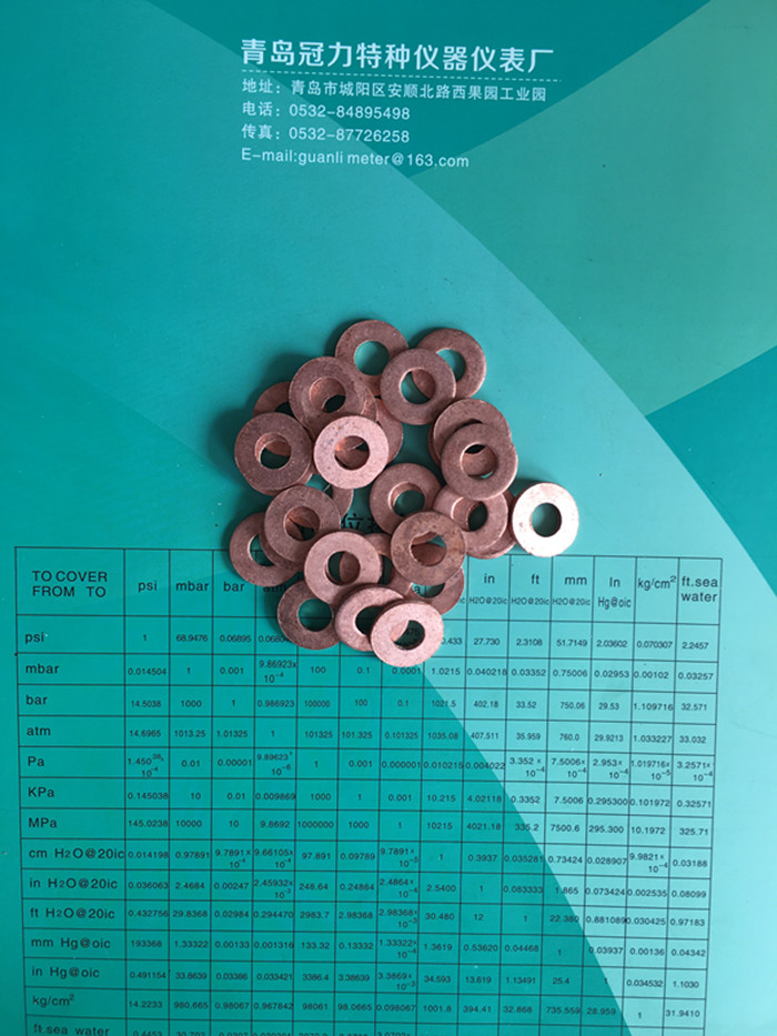 18X8X2压力表紫铜垫 压力表专用