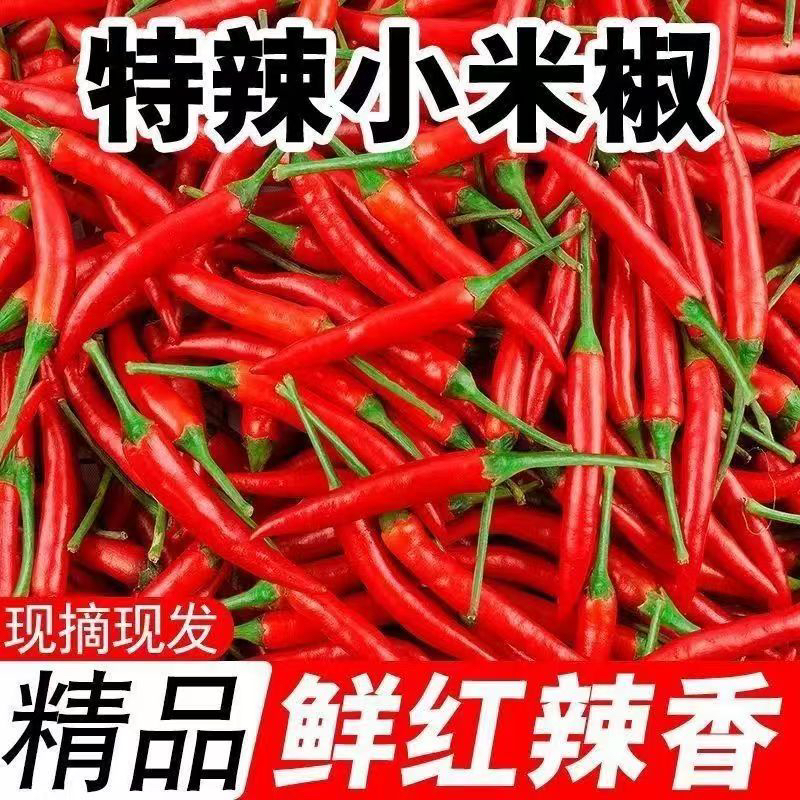 云南现摘红辣椒小米辣鲜椒新鲜魔鬼辣椒朝天椒指天椒整箱批发