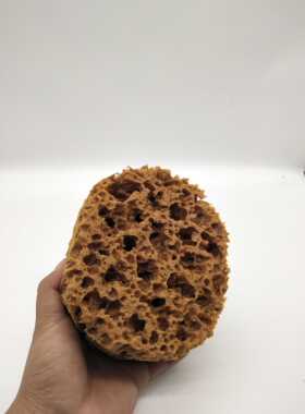 海藻棉三色珠光天然海藻绵滚筒进口人工仿海藻棉 3D银箔沾花海藻