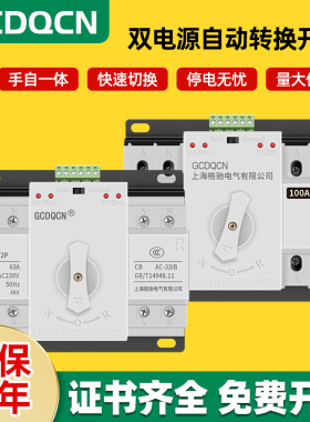 双电源自动转换开关2P单相220V100A家用手自一体快速切换开关
