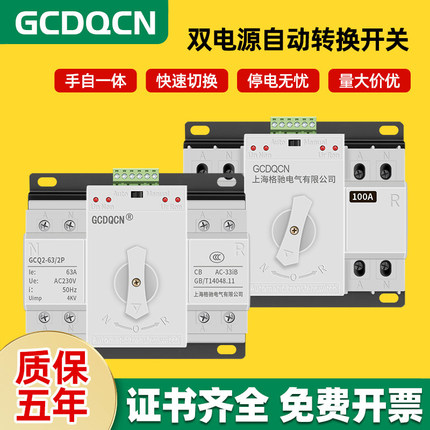 双电源自动转换开关2P单相220V100A家用手自一体快速切换开关
