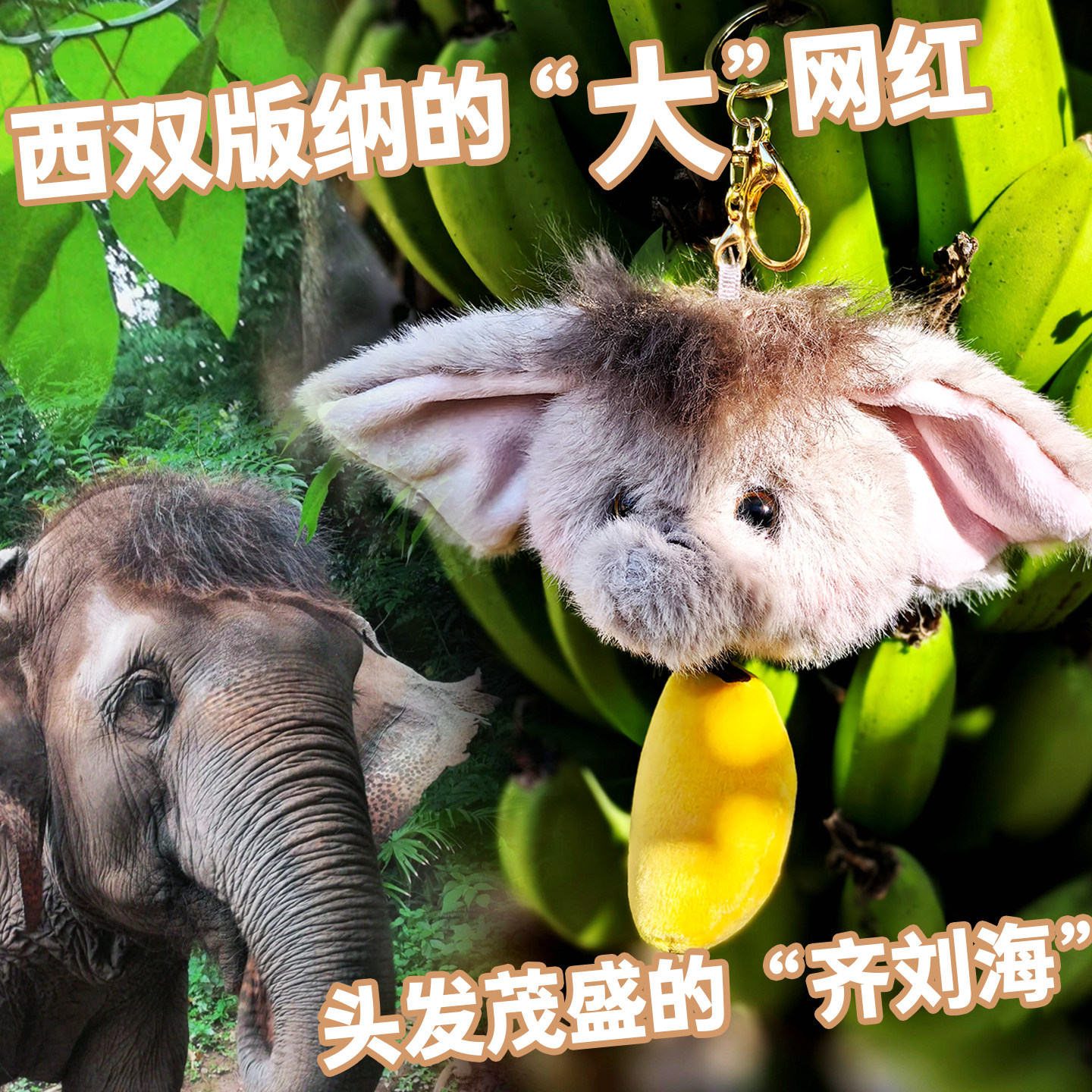 野象谷齐刘海小象毛绒玩偶挂件