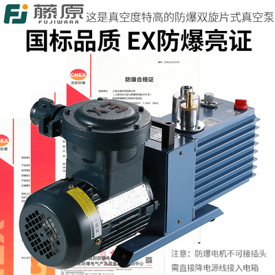 专利防爆电机真空泵双级旋片式