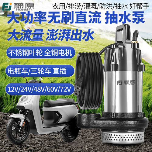 12V-72V无刷直流不锈钢潜水泵